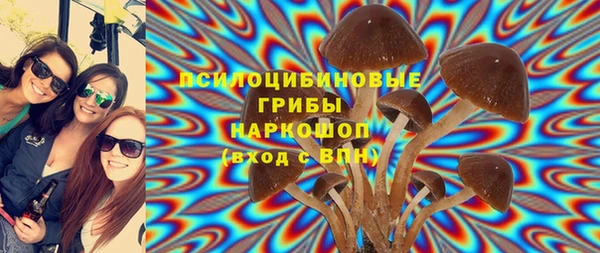 PSILOCYBIN Вязьма