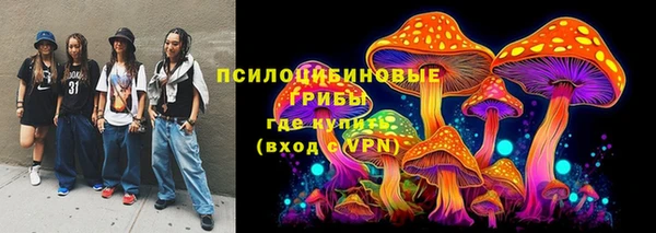 PSILOCYBIN Вязьма